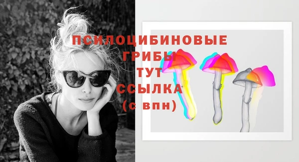 метадон Новозыбков