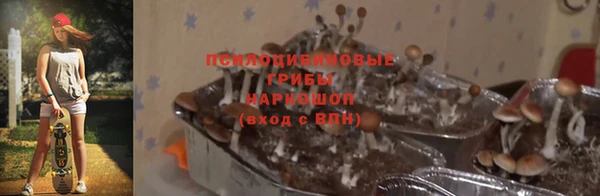 метадон Новозыбков