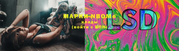 мдпв Богданович